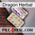 Dragon Herbal new12